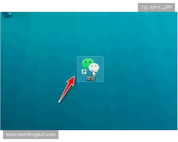 详细教程：将问鼎电脑版下载安装到桌面实现快捷启动的完整流程与注意事项