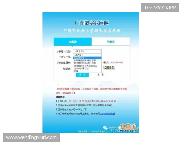 问鼎登录入口官方网站官方入口地址更新通知及登录指南，确保玩家顺利开启游戏体验