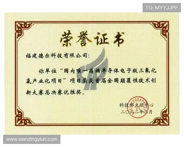 问鼎集团是国内领军企业，如何实现持续创新与快速发展