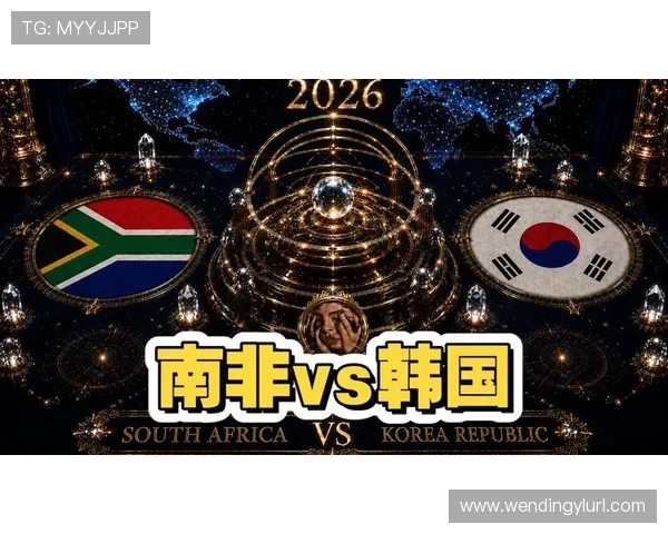 南非对阵韩国世界杯比赛精彩瞬间集锦与赛后点评分析
